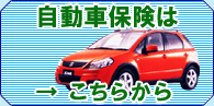 �ی������̓R�`������I�I
